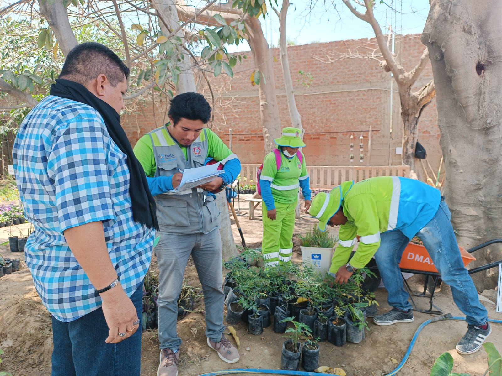Transformación Verde en Vichayal: La MDV Embellece Nuestra localidad con Plantones
