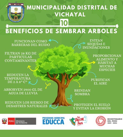 Ampliando Áreas Verdes para un Futuro Más Verde 