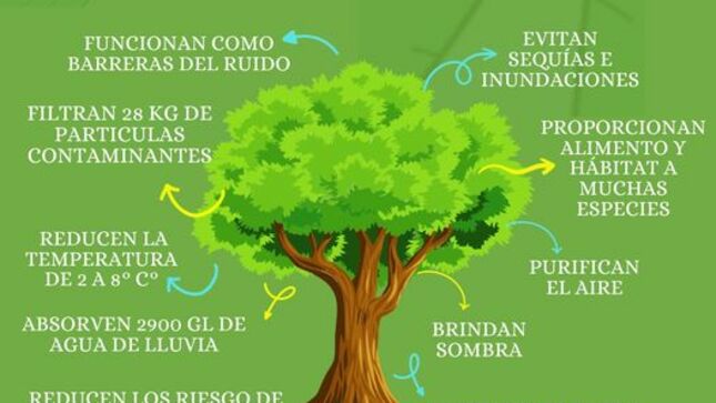 Ampliando Áreas Verdes para un Futuro Más Verde 