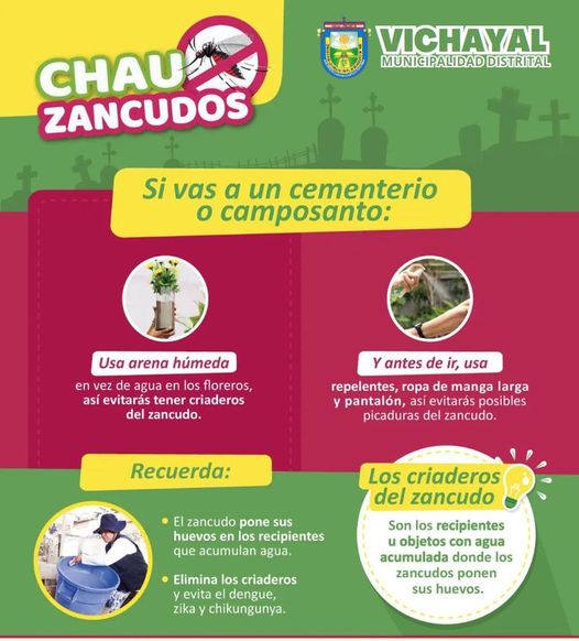 Campaña "CHAU ZANCUDO"