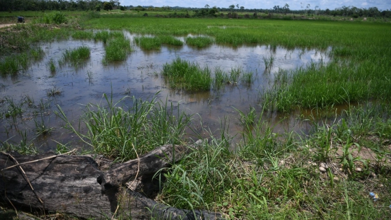 AGUA Y RIEGO