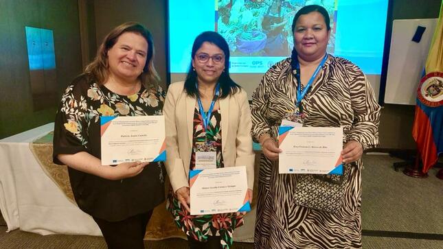 Digesa participó en el “Taller regional para el fortalecimiento de mercados tradicionales de alimentos bajo el enfoque de salud” en Colombia