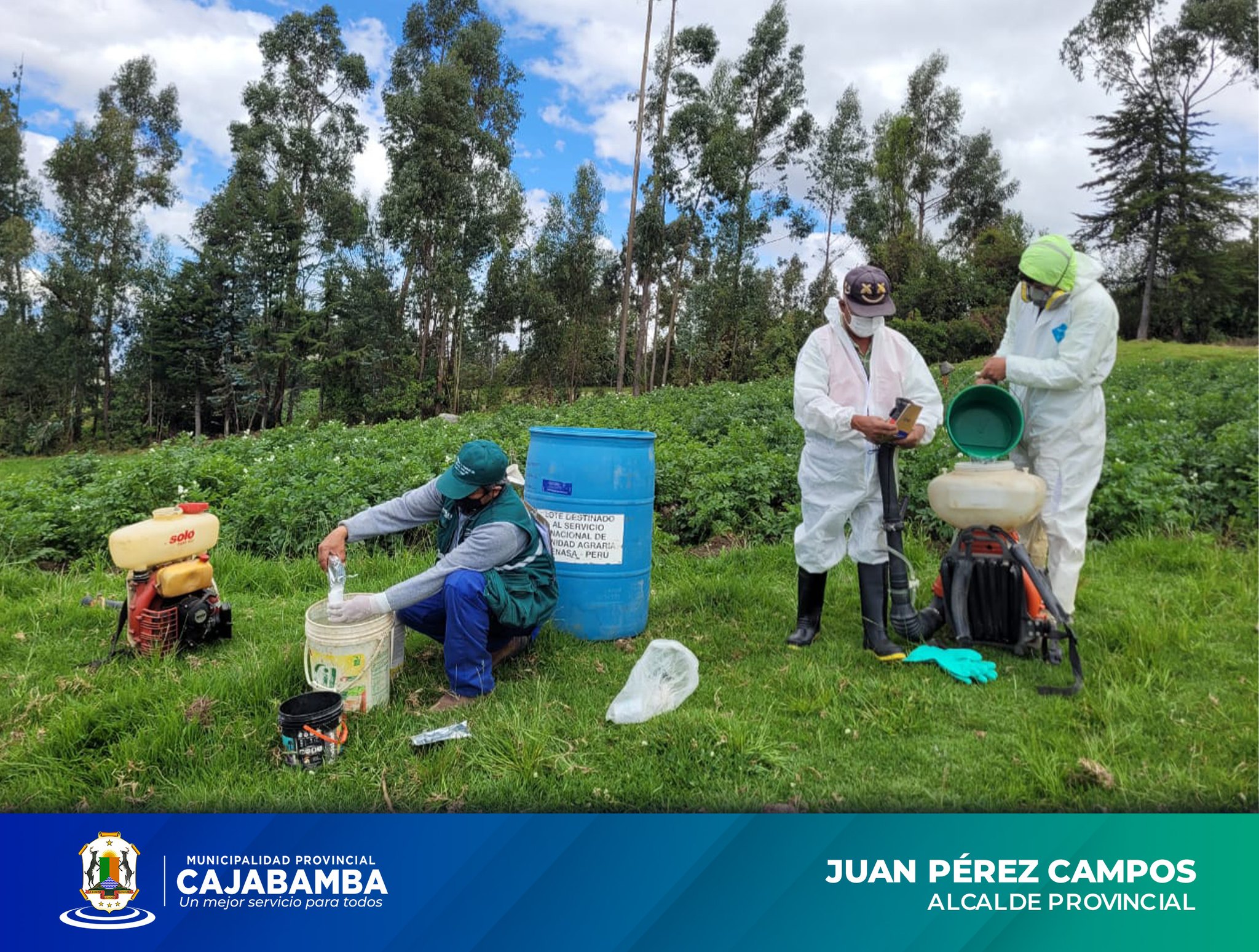 Control de Plaga en Cultivo de Papa