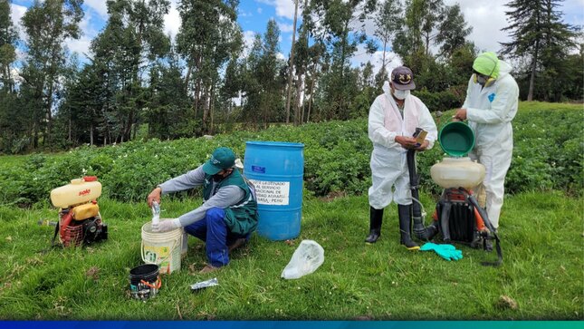 Control de Plaga en Cultivo de Papa