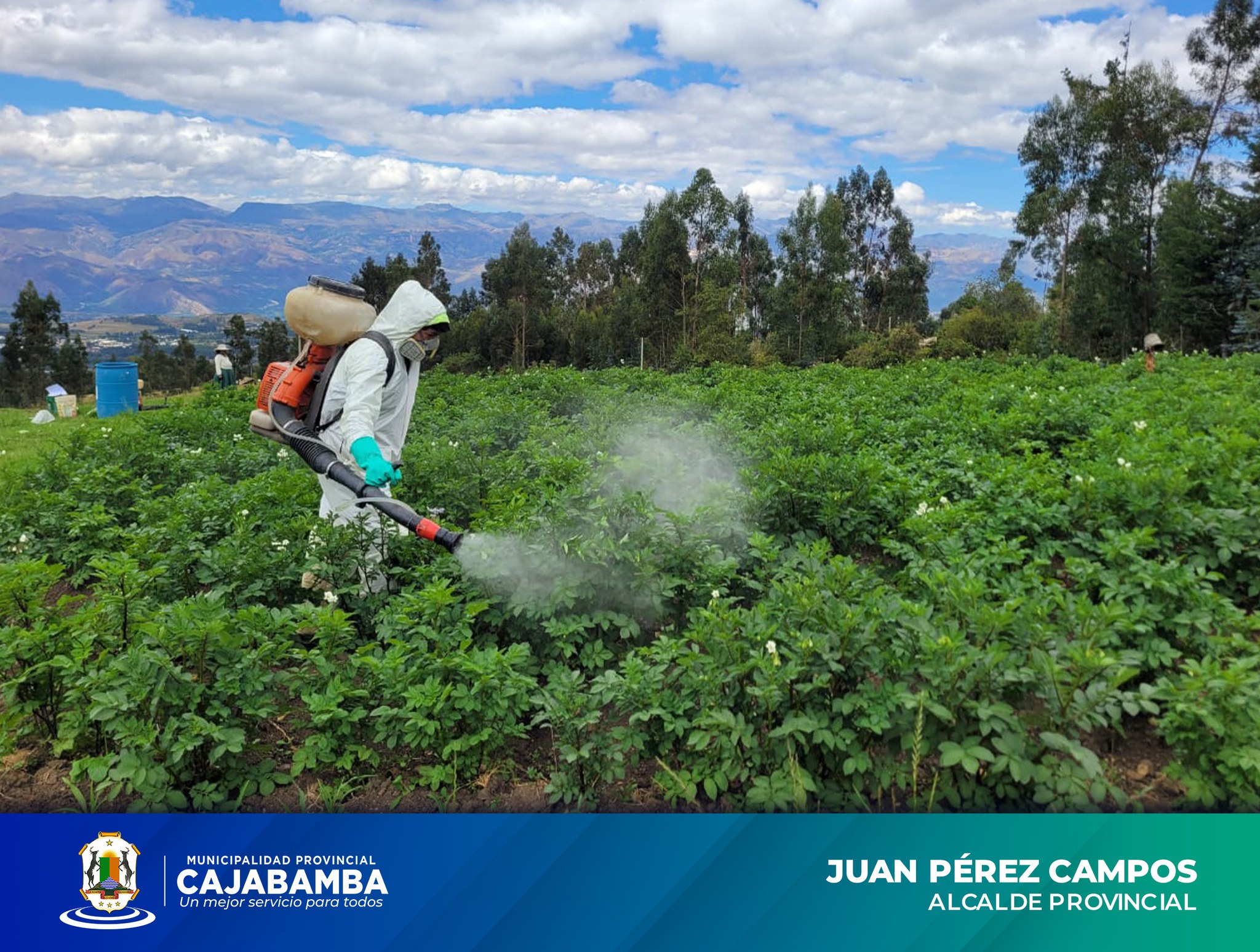 Control de Plaga en Cultivo de Papa