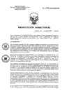 Vista preliminar de documento RD 177-2023-SA-DG-INR