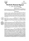 Vista preliminar de documento RDR Nº 2990-2023-GRSM-DRE