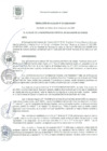 Vista preliminar de documento RA 210-2020