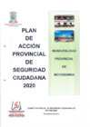 Vista preliminar de documento PLAN DE ACCION PROVINCIAL DE SEGURIDAD CIUDADANA 2020