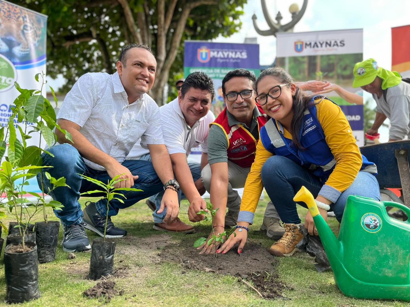 Municipalidad de Maynas participó de sembrado de plantones