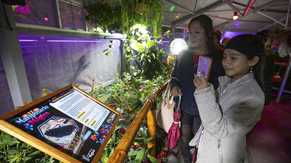 Inauguración del Mariposario Mágico - 5