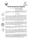 Vista preliminar de documento RDR Nº 3003-2023-GRSM-DRE