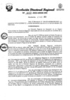 Vista preliminar de documento RDR Nº 3010-2023-GRSM-DRE