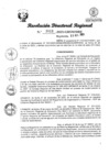 Vista preliminar de documento RDR Nº 3011-2023-GRSM-DRE