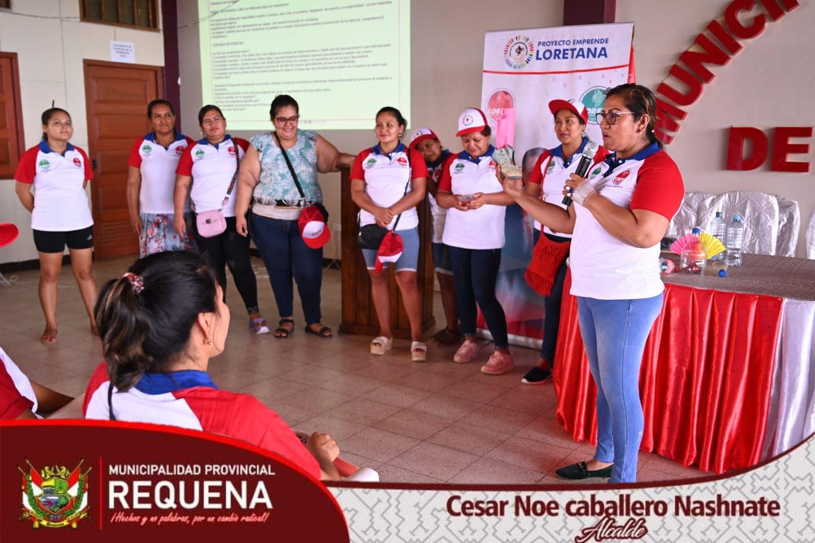 Proyecto,"Mejoramiento y Desarrollo de la Capacidad Emprendedora y Competencias Laborales en Mujeres en Situación de Vulnerabilidad”