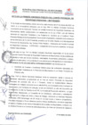 Vista preliminar de documento ACTA PRIMER AUDIENCIA PUBLICA DEL COPROSEC