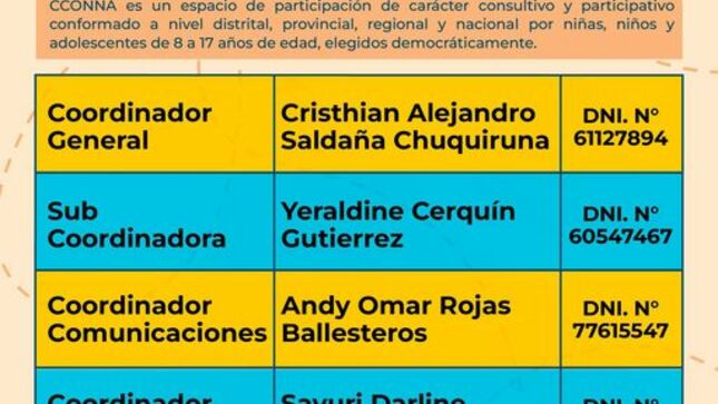 Ellos son los encargados de representar a todos los niños, niñas y adolescentes con carácter consultivo y participativo, incluyendo el derecho a estar informados, expresar opiniones e intervenir en temas de su interés. 
