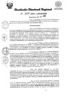 Vista preliminar de documento RDR Nº 3039-2023-GRSM-DRE
