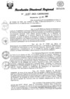 Vista preliminar de documento RDR Nº 3040-2023-GRSM-DRE