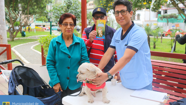 🐈 Se realizó una nueva edición de nuestra campaña veterinaria gratuita en el Parque Habich. Allí los asistentes registraron a sus mascotas en la sección Muni Pet 🐾 de nuestra app 📲 #JesúsMaríaSomosTodos 🐶.

¡Descárgala ya!
▶️ App Store http://bit.ly/416QVIP 
▶️ Play Store http://bit.ly/3mfWsxF