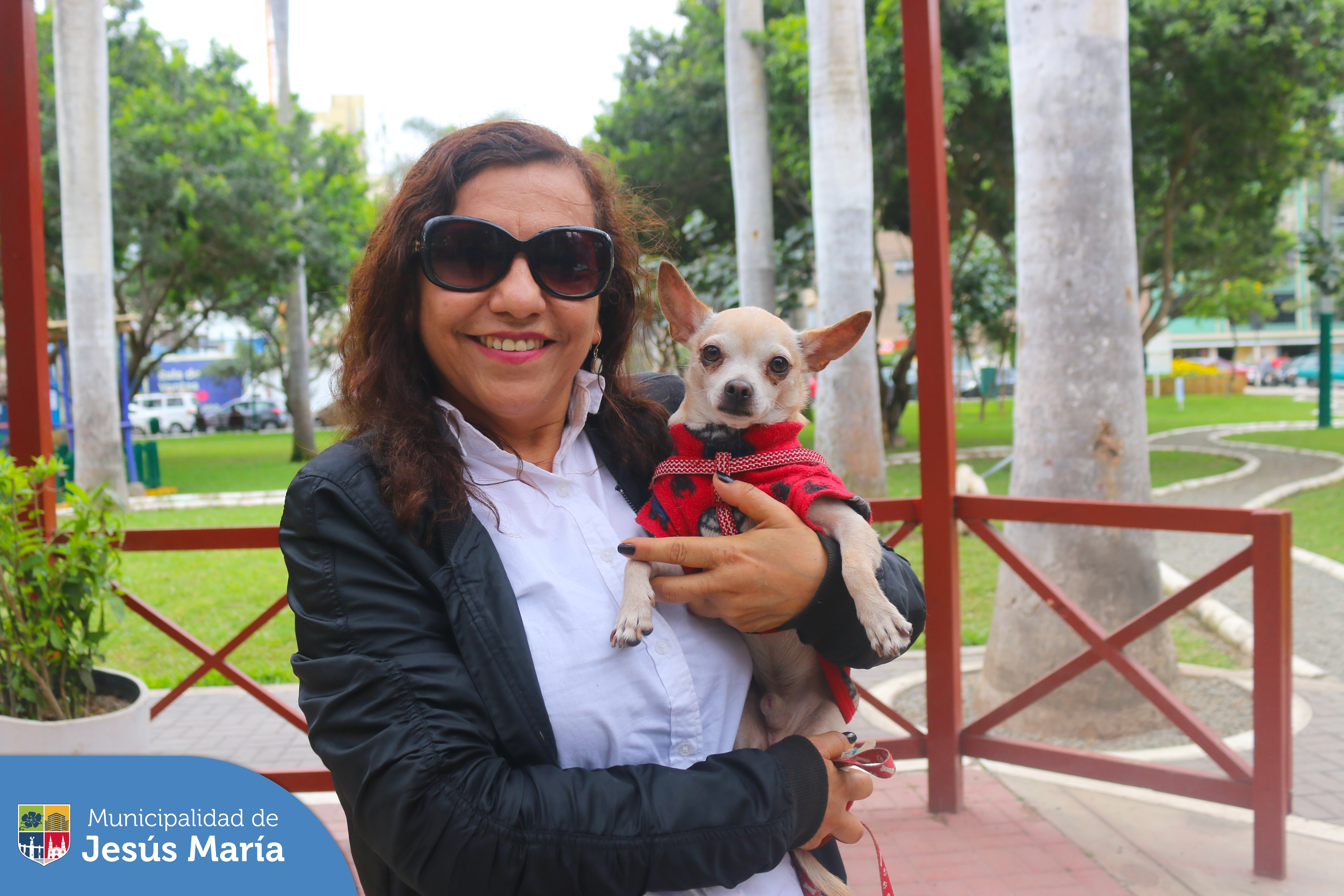 🐈 Se realizó una nueva edición de nuestra campaña veterinaria gratuita en el Parque Habich. Allí los asistentes registraron a sus mascotas en la sección Muni Pet 🐾 de nuestra app 📲 #JesúsMaríaSomosTodos 🐶.
¡Descárgala ya!
▶️ App Store http://bit.ly/416QVIP
▶️ Play Store http://bit.ly/3mfWsxF
