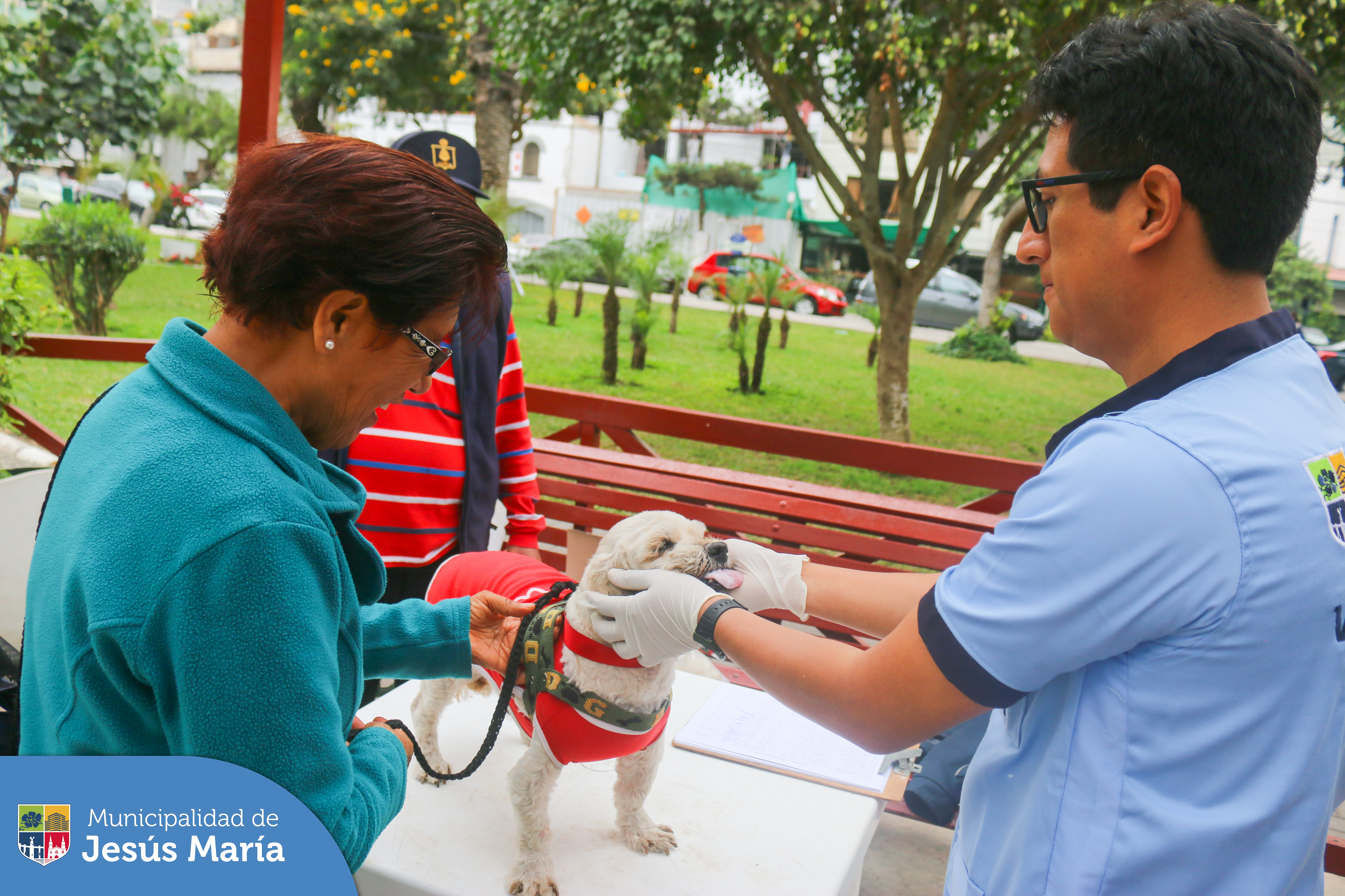 🐈 Se realizó una nueva edición de nuestra campaña veterinaria gratuita en el Parque Habich. Allí los asistentes registraron a sus mascotas en la sección Muni Pet 🐾 de nuestra app 📲 #JesúsMaríaSomosTodos 🐶.
¡Descárgala ya!
▶️ App Store http://bit.ly/416QVIP
▶️ Play Store http://bit.ly/3mfWsxF