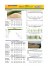 Vista preliminar de documento Boletín de abastecimiento y precio del ARROZ - 13/11/23