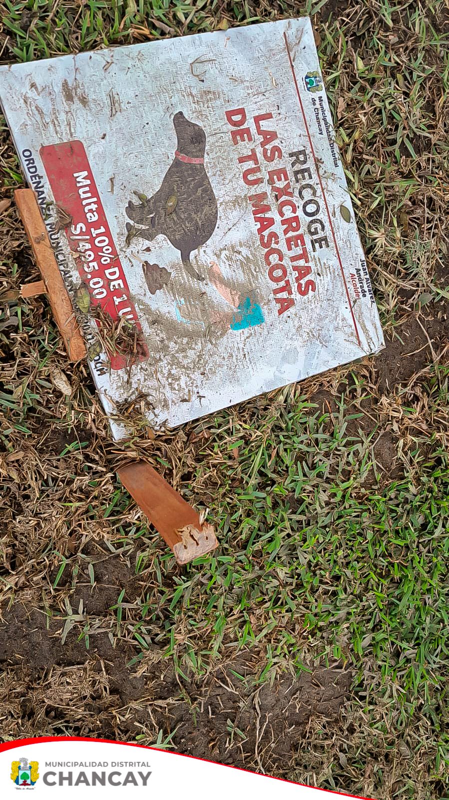 El pasado 29 de septiembre, el Registro Único Municipal de Mascotas en Chancay llevó a cabo la colocación de carteles informativos sobre la responsabilidad en el recojo de excretas de las mascotas.