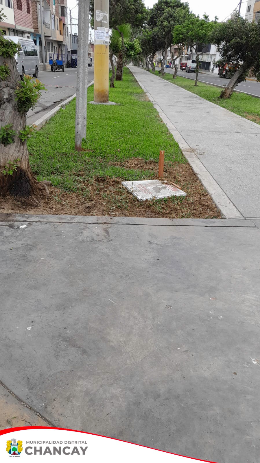 El pasado 29 de septiembre, el Registro Único Municipal de Mascotas en Chancay llevó a cabo la colocación de carteles informativos sobre la responsabilidad en el recojo de excretas de las mascotas.