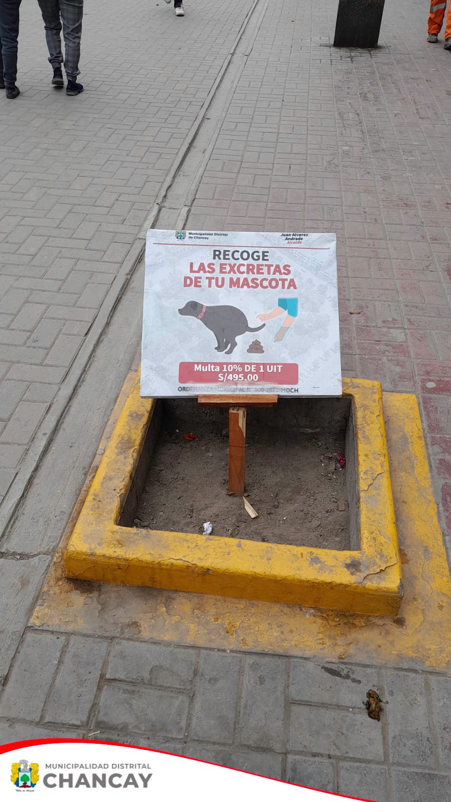 El pasado 29 de septiembre, el Registro Único Municipal de Mascotas en Chancay llevó a cabo la colocación de carteles informativos sobre la responsabilidad en el recojo de excretas de las mascotas.