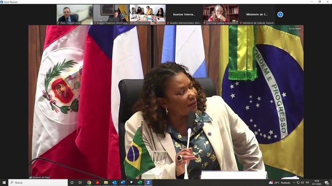 Ministerio de Cultura participó virtualmente en reuniones del Mercosur Cultural