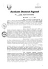 Vista preliminar de documento RDR Nº 3066-2023-GRSM-DRE
