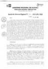 Vista preliminar de documento RDR_N_192-2023-GRU-DRA