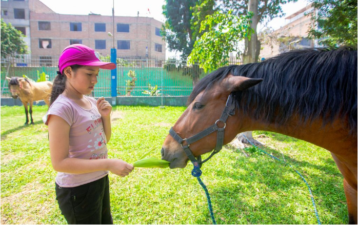 Actividades recreativas, deportivas y culturales en los clubes y parques metropolitanos.