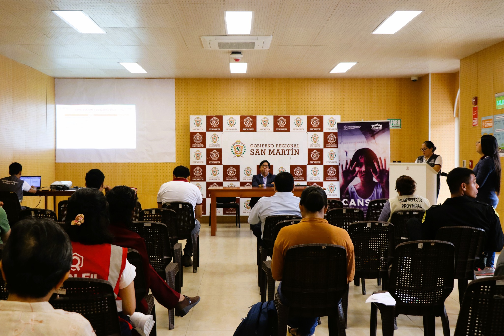 Reunión de la CDRPETI con aliados estratégicos. 