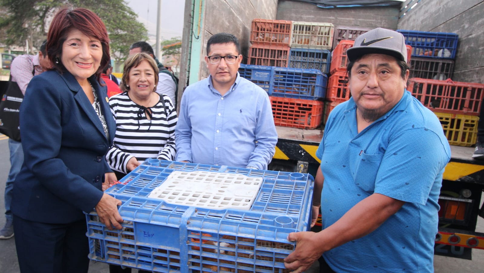 Asociación emprendedora de Santa Rosa de Quives recibe 3,870 cuyes reproductores