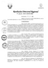 Vista preliminar de documento RDR Nº 3110-2023-GRSM-DRE