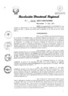 Vista preliminar de documento RDR Nº 3112-2023-GRSM-DRE