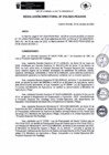 Vista preliminar de documento rd218-2023