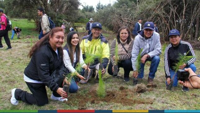 La Municipalidad Provincial de Cajamarca, a través de la gerencia de Desarrollo Ambiental, en un trabajo articulado con el Capítulo de Ingenieros Forestales del Consejo Departamental Cajamarca del CIP y FONCREAGRO,  realizaron la plantación de más de una hectárea con la especie Pinus Patula y Pino Radiata en Porcón Alto. 
✅Agradecemos también la participación activa de la I.E Pedro Villanueva Espinoza, INIA, Cite Madera, RENAMA, la Universidad Nacional de Cajamarca, RECUCAJ, quienes aportaron significativamente en esta actividad que se realizó en el marco de las actividades por la Semana Nacional Forestal 2023 y tiene por finalidad promover plantaciones con fines comerciales y que contribuyan a cuidado del medio ambiente 