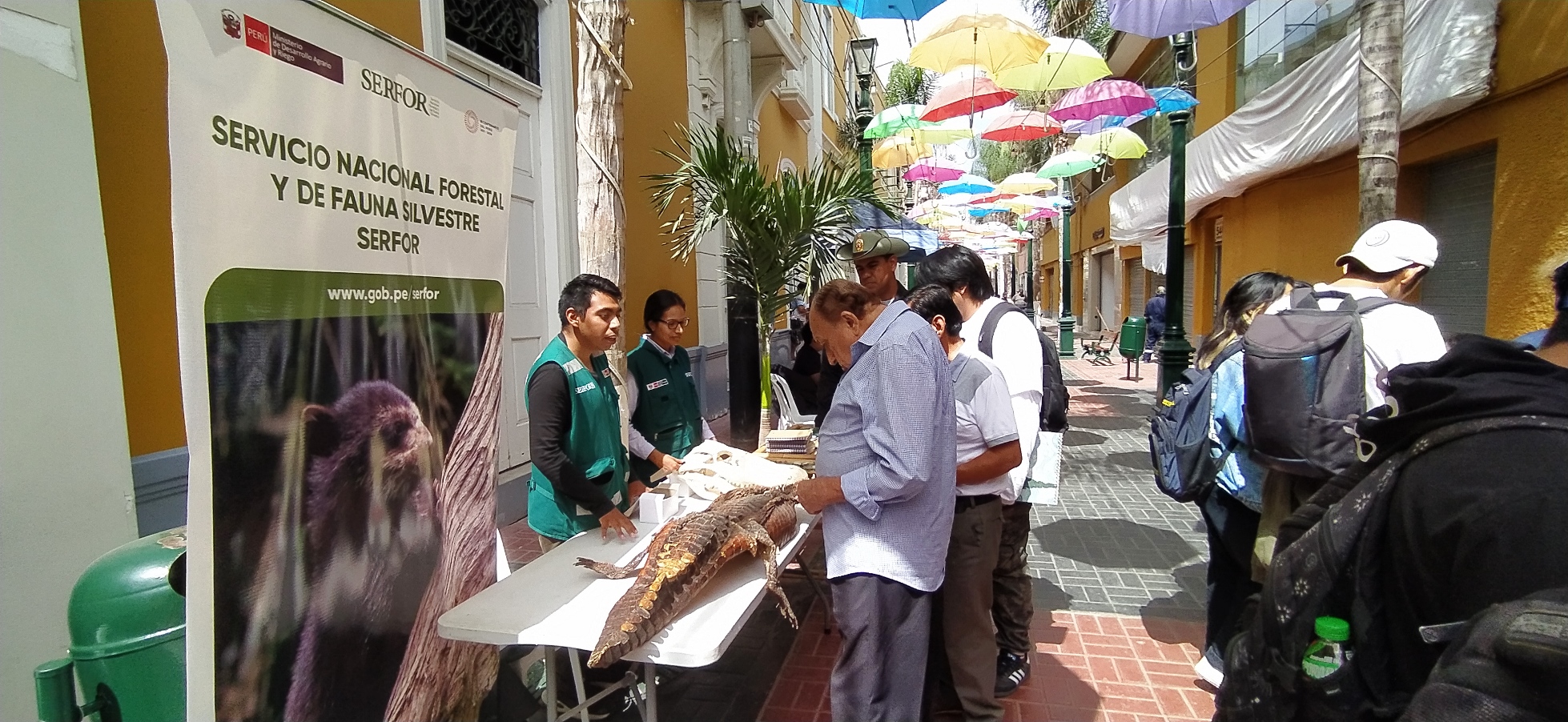 Feria2