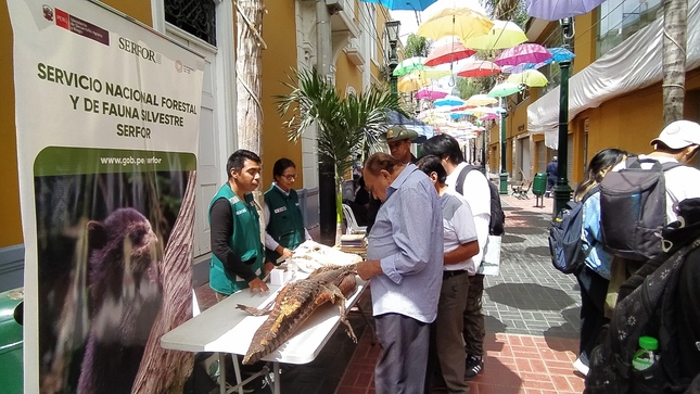 Feria2