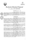 Vista preliminar de documento RDR Nº 3120-2023-GRSM-DRE
