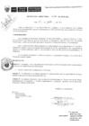 Vista preliminar de documento R.D.N.347-2011-MAPRO OEA GESTION FINANCIERA