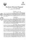 Vista preliminar de documento RDR Nº 3126-2023-GRSM-DRE