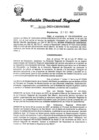 Vista preliminar de documento RDR Nº 3130-2023-GRSM-DRE