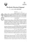 Vista preliminar de documento RDR Nº 3135-2023-GRSM-DRE