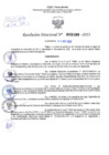 Vista preliminar de documento Resolución Directoral. N° 2490 - 2023 