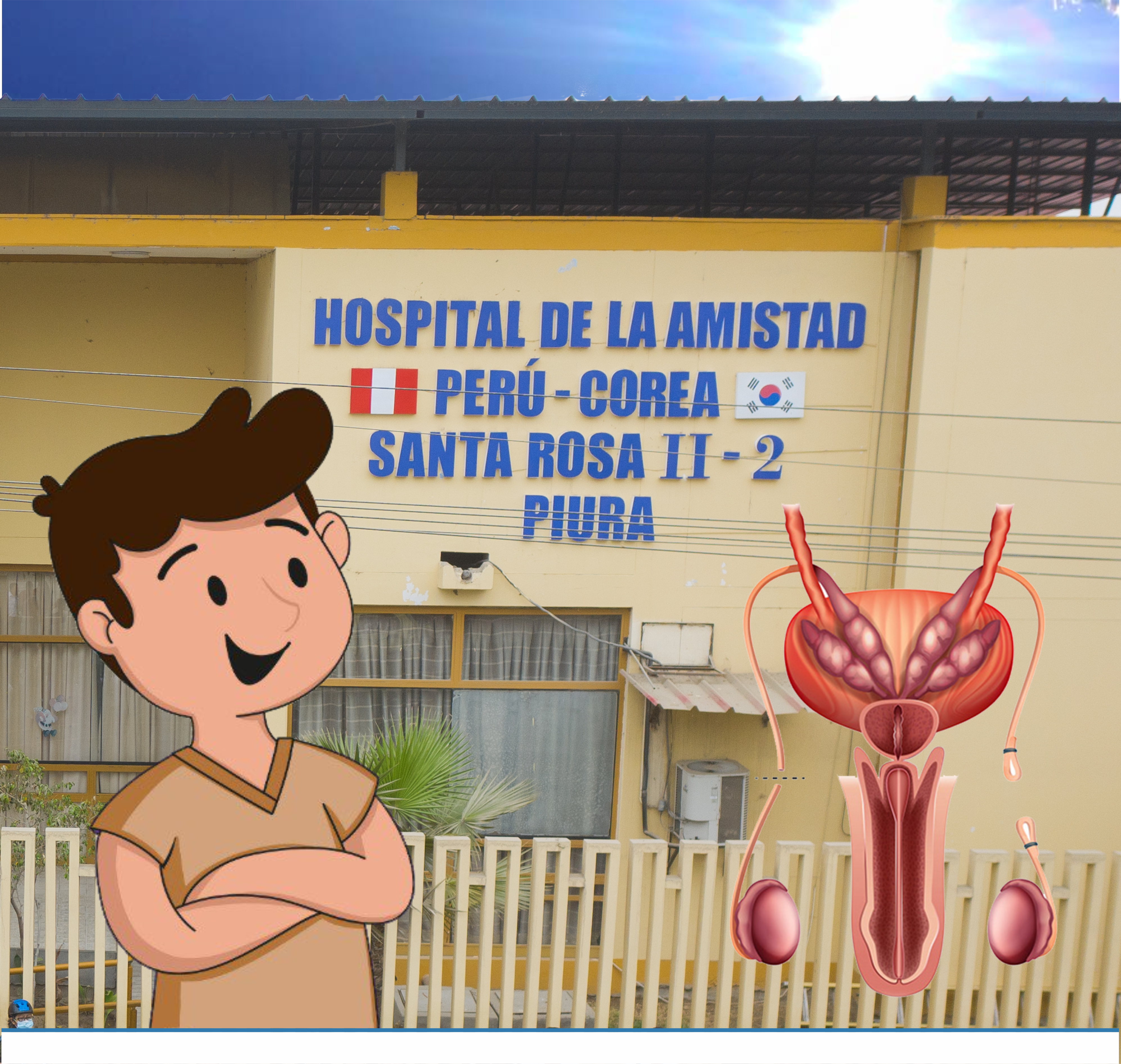 Vasectomía sin bisturí