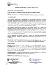 Vista preliminar de documento RA-133-2015-MDJM